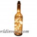 Latitude Run Hurwitz Lighted Decorative Bottle LTTN8723